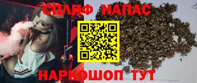 мдпв Пугачёв