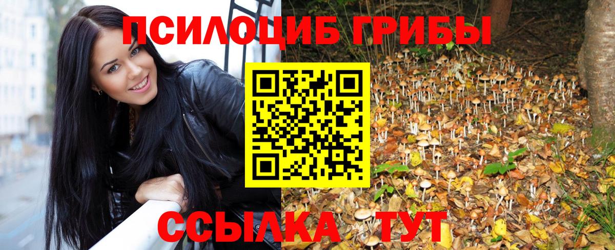 Псилоцибиновые грибы ЛСД  Псилоцибиновые грибы GOLDEN TEACHER  Вход с VPN  Советская Гавань 