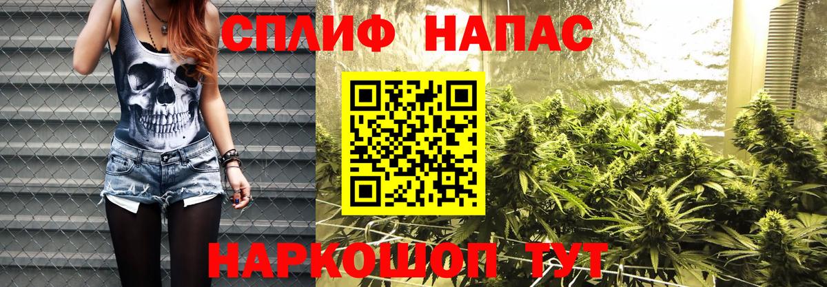 Канабис гибрид Советская Гавань